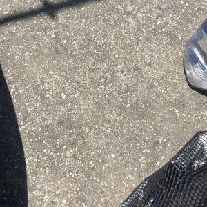 Meet your Posher, Monique